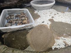 -郑庄脂渣海鲜楼(九水路店)