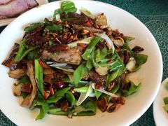 连山肘子-代木儿回锅肉