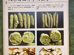 -广东中医药博物馆