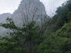 -神农山景区