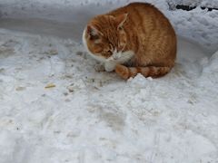 -终南山南五台景区