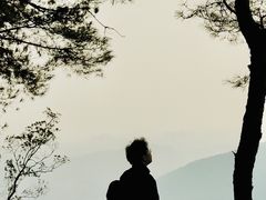 -铁山坪森林公园