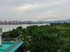 -芒洲湿地公园