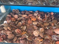 -港畔赶海蒸汽海鲜烧烤自助(仙螺岛店)