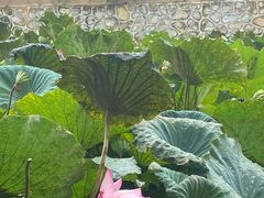 -叶挺将军纪念园