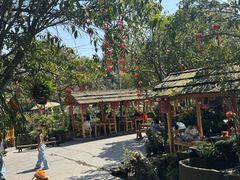 -青城甲(青城山店)