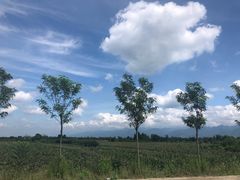 -黑河国家森林公园