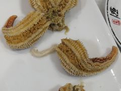 -宾朋海鲜特色美食餐厅·纯手工鲅鱼水饺(兴海路店)