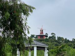 -东莞植物园