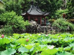 -郑和公园