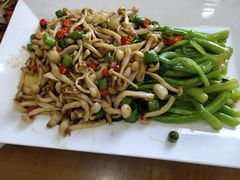 白玉香菇菜心-宴宾楼饭店(敖汉旗银河花城店)