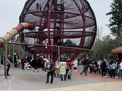 -枫香湖儿童公园