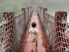 -广州白江湖森林公园