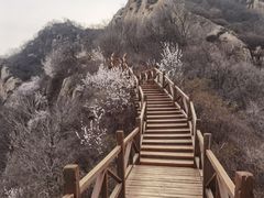 -大岭沟猕猴桃谷风景区