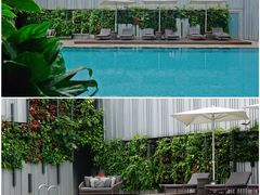 -新加坡乌节希尔顿酒店 (SG Clean)