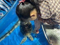-泉城欧乐堡海洋极地世界