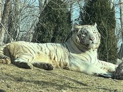 -北京野生动物园