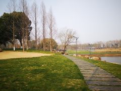 -洋湖国家湿地公园