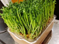 现剪现吃豌豆苗-海底捞火锅(杭州越界锦和大厦店)