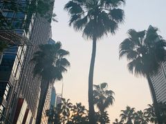 -星巴克臻选(深圳罗湖万象城店)