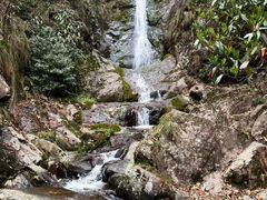 -东天目山风景区