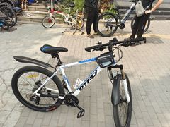 -道路口单车爱瓦士dahon大行