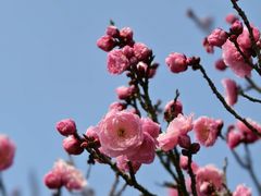 -无锡梅园公园