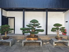 -绮园景区