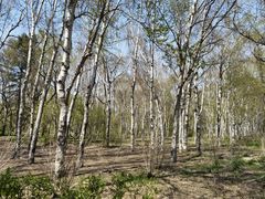 -长春市南湖公园