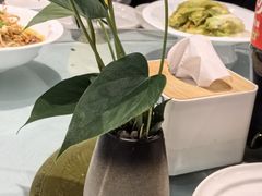 -眉州东坡(民族园店)