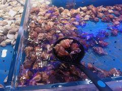 -澜悦港海鲜体验主题餐厅