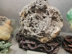 -陕西自然博物馆