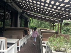 -Local泰莲庭(虹鳟鱼店)