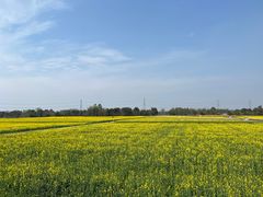 -中国天府农业博览园