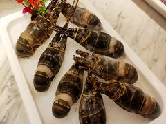 -雍和会海鲜姿造自助(湖东路店)