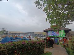 -渔家火锅·海鲜自助餐·演艺(亚龙湾天域酒店)