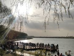 -丁香湖公园