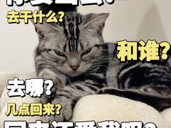 -有喵·猫咖·狗咖·30几只猫10只小狗(岗厦店)