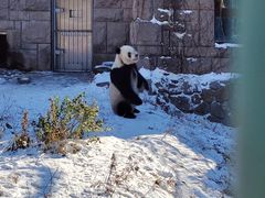 -北京动物园