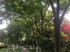 -上海鲜花港