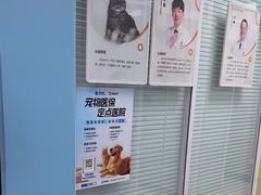 -全心全意连锁动物医院·微创中心·内科急重症·心脏专科(丰管路店)