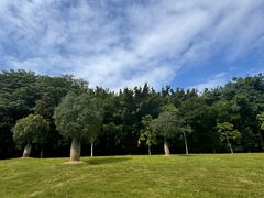 -东莞植物园