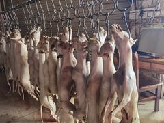 -宁大姐第一家脆皮狗肉馆(江滨路店)