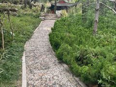 -郑州植物园