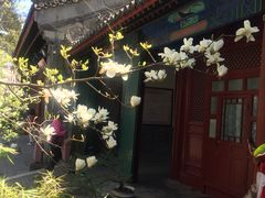 -西北朗益和穆斯林餐厅
