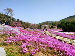 -棒棰岛宾馆景区