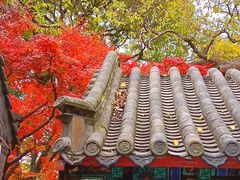 -青岛崂山太清宫