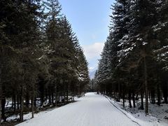 -硗碛藏寨·神木垒景区