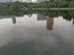 -文瀛公园