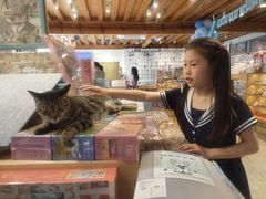 -猫的天空之城概念书店(丽江古城饮玉巷店)